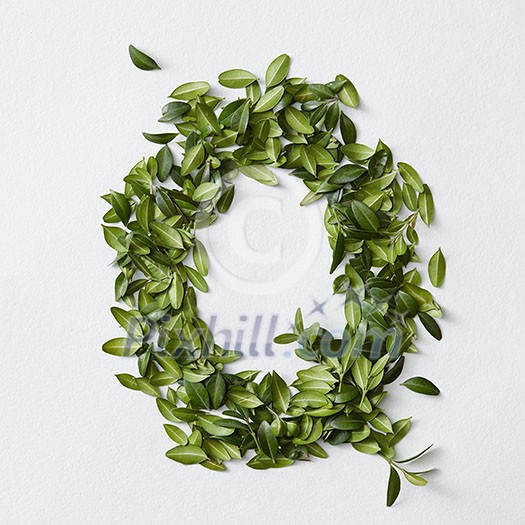 English alphabet concept. Alphabet isolated on white background. Abc letters from green leaves. Letter Q represented with green leaves. Symbol Q on white. English alphabet concept. Alphabet isolated on white background. Abc letters from green leaves. Letter Q represented with green leaves. Symbol Q on white.
