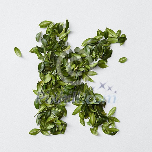 English alphabet concept. Alphabet isolated on white background. Abc letters from green leaves. Letter K represented with green leaves. Symbol K on white. English alphabet concept. Alphabet isolated on white background. Abc letters from green leaves. Letter K represented with green leaves. Symbol K on white.