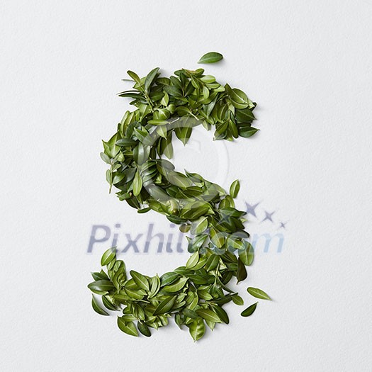 English alphabet concept. Alphabet isolated on white background. Abc letters from green leaves. Letter S represented with green leaves. Symbol S on white. English alphabet concept. Alphabet isolated on white background. Abc letters from green leaves. Letter S represented with green leaves. Symbol S on white.