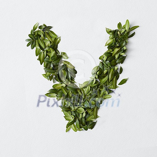English alphabet concept. Alphabet isolated on white background. Abc letters from green leaves. Letter V represented with green leaves. Symbol W on white. English alphabet concept. Alphabet isolated on white background. Abc letters from green leaves. Letter V represented with green leaves. Symbol W on white.