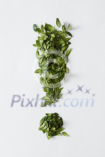 Exclamation mark from green leaves isolated on white background. High resolution conceptual grass symbol isolated on white. Exclamation mark from green leaves isolated on white background. High resolution conceptual grass symbol isolated on white.