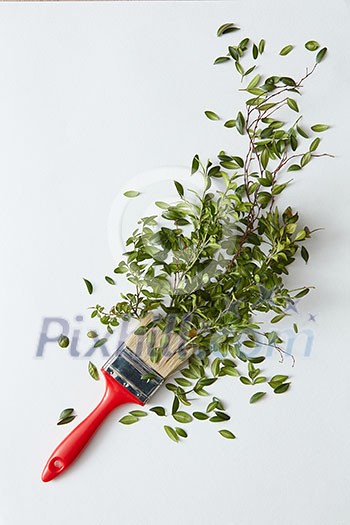 Brush represented on white background with green leaves. Green leaves represented as if green paints. Pints concept. Flora concept. Brush represented on white background with green leaves. Green leaves represented as if green paints. Pints concept. Flora concept.