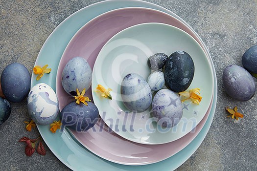 Easter eggs on blue plates on a concrete background