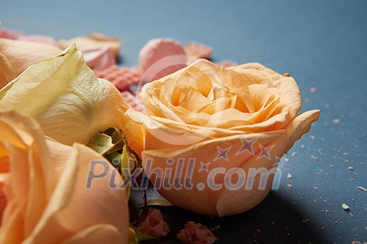 Closeup of yellow roses for decoration of navy blue background. Composition of flowers for making post card. Women's Day concept. Closeup of yellow roses for decoration of navy blue background. Composition of flowers for making post card. Women's Day concept.