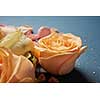 Closeup of yellow roses for decoration of navy blue background. Composition of flowers for making post card. Women's Day concept.