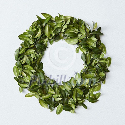 Green leaves arranged in round shape on white background Green leaves arranged in round shape on white background