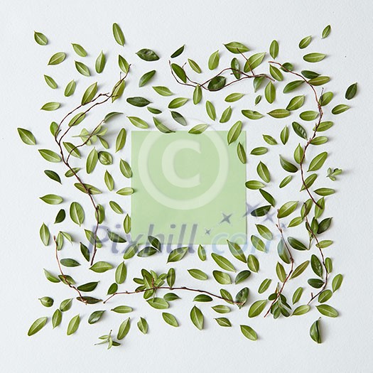 Green blank paper with green leaves on white background Green blank paper with green leaves on white background