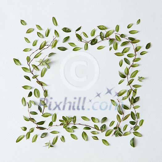 Square frame of green leaves with space for a text, flat lay Square frame of green leaves with space for a text, flat lay