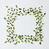 Square frame of green leaves with space for a text, flat lay