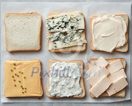 Different kinds of cheeses on toasts on paper close up Different kinds of cheeses on toasts on paper close up