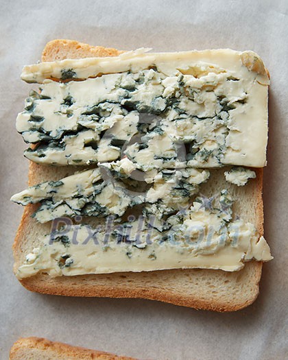 Tasty blue cheese on toast close up Tasty blue cheese on toast close up