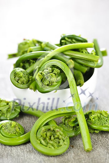 Fresh spring wild fiddleheads in a bowl Fresh spring wild fiddleheads in a bowl