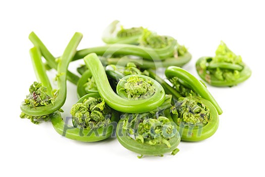 Pile of fresh spring wild fiddleheads on white background Pile of fresh spring wild fiddleheads on white background