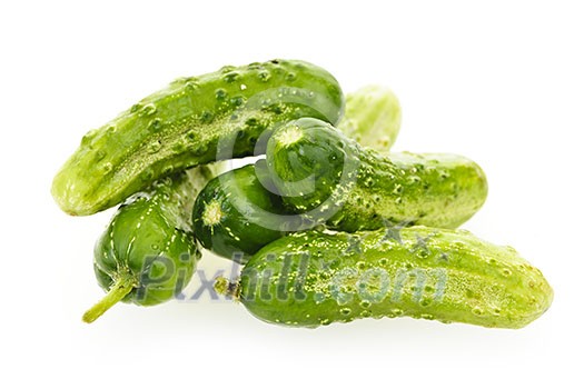 Green fresh small cucumbers isolated on white Green fresh small cucumbers isolated on white