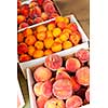 Fresh peaches and apricots fruits for sale on farmers market