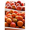 Fresh apricots and peaches fruits for sale at a farmers market