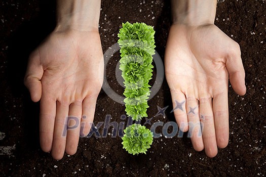 Exclamation green mark in male palms on soil background Exclamation green mark in male palms on soil background