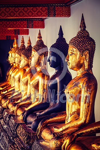 Vintage retro effect filtered hipster style image of sitting Buddha statues in Buddhist temple Wat Pho, Bangkok, Thailand Vintage retro effect filtered hipster style image of sitting Buddha statues in Buddhist temple Wat Pho, Bangkok, Thailand
