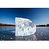 Freezing winter temperatures: block of ice lying on the surface of a frozen pond on a sunny winter day