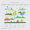 vector info chart renewable energy biogreen ecology  