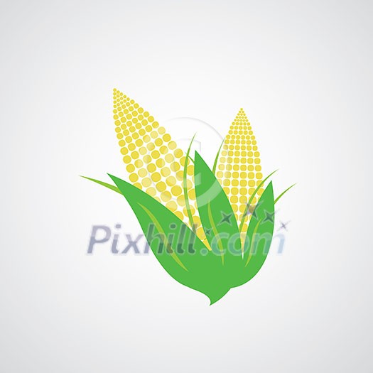 vector corn on the cob