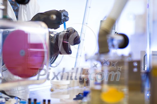 Science, chemistry, technology, biology and people concept - close up of scientists hands carrying out research experiments in a lab (color toned image) Science, chemistry, technology, biology and people concept - close up of scientists hands carrying out research experiments in a lab (color toned image)