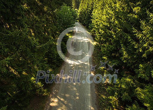 Aerial view of a forest road