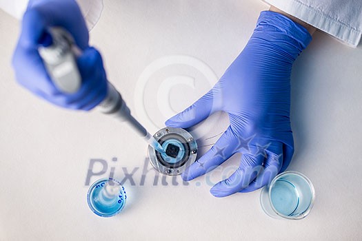 Hands of a researcher carrying out scientific research in a lab Hands of a researcher carrying out scientific research in a lab