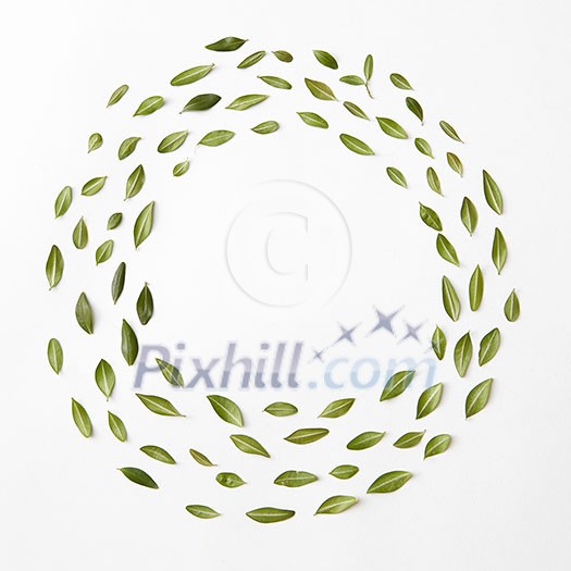 round frame of leaves on a white background, Flat lay round frame of leaves on a white background, Flat lay