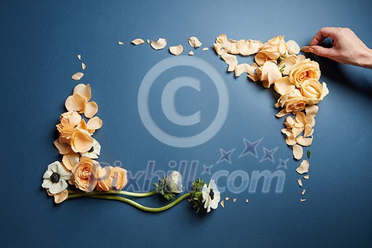 Female hand makes a frame of flowers on a blue background, flat lay Female hand makes a frame of flowers on a blue background, flat lay