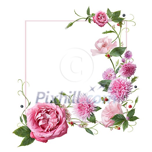 frame with pink flowers, leaves and petals isolated on white background. top view, flat lay