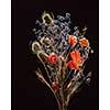 Dry flowers isolated on black background. Bush of dry flowers with different colors. Flower concept. Plant concept.