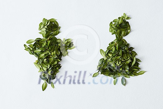Male and female concept. Man and woman signs made of green leaves and represented over white background. Male and female concept. Man and woman signs made of green leaves and represented over white background.