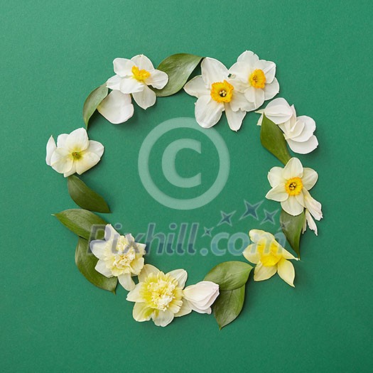 Top view of floral frame made of white flowers in form of circle over green background. Blank space in middle may be used for your ideas, emotions, etc.