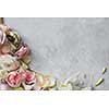 Frame of flowers decorating grey background. Top view of composition of white, pink roses designing grey background. B