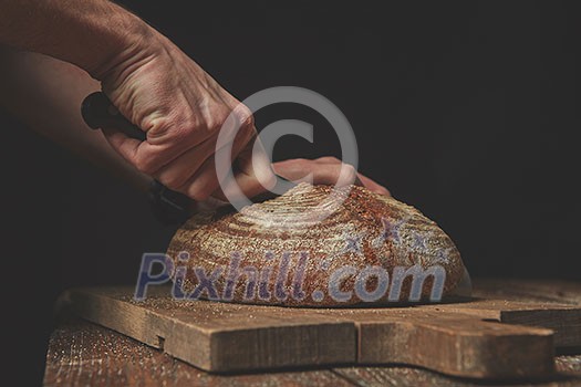 Close-up of a baker's hand sliced fresh round bread Close-up of a baker's hand sliced fresh round bread