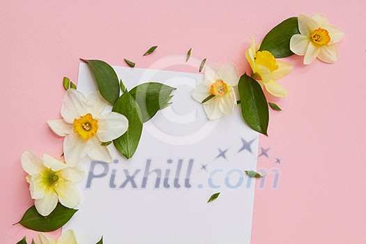 Greeting card with flowers and leaves on a pink background a sheet of paper under the text. Flat lay Greeting card with flowers and leaves on a pink background a sheet of paper under the text. Flat lay
