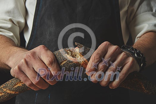 Men Hand breaking and separating a freshly baked baguette with poppy seeds on a dark background. Concept of bread. Men Hand breaking and separating a freshly baked baguette with poppy seeds on a dark background. Concept of bread.