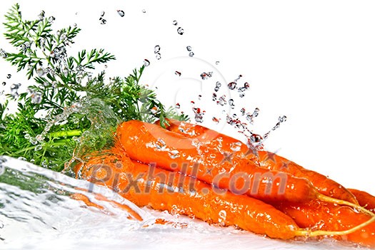 fresh water splash on carrot isolated on white fresh water splash on carrot isolated on white