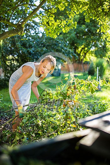 Pretty, young woman gardening in her garden, cutting branches, preparing the orchard for the winter Pretty, young woman gardening in her garden, cutting branches, preparing the orchard for the winter
