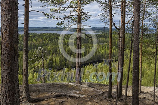 Early summer mountain landscape