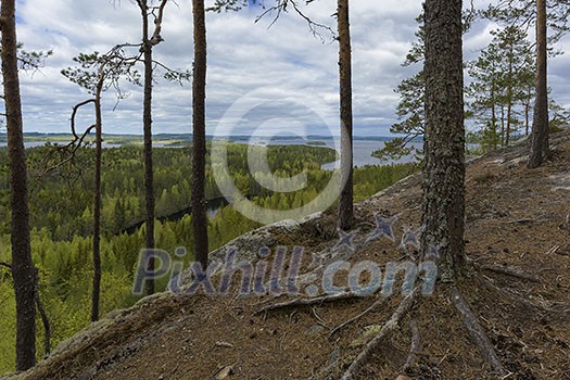 Early summer mountain landscape Early summer mountain landscape