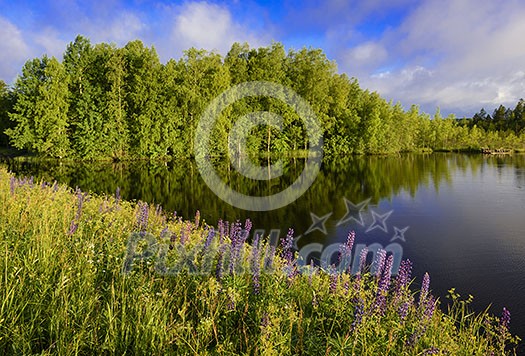 Lake scenery in morning light Lake scenery in morning light