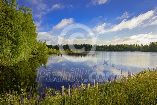 Lake scenery in morning light