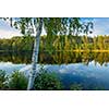 Calm summer evening by the lake