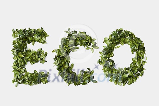 Alphabet word ECO made from green leaves isolated on white background Alphabet word ECO made from green leaves isolated on white background