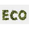 Alphabet word ECO made from green leaves isolated on white background
