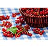 Redcurrant red currant berries in wicker bowl on kitchen table