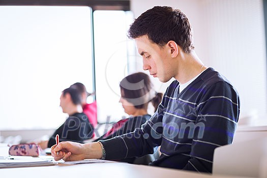 young, handsome male college student sitting in a classroom full of students during class (color toned image; shallow DOF) young, handsome male college student sitting in a classroom full of students during class (color toned image; shallow DOF)
