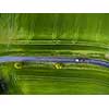 Farmland from above - aerial image of a lush green filed